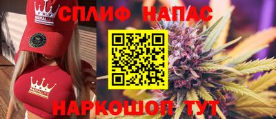 СК Краснодар