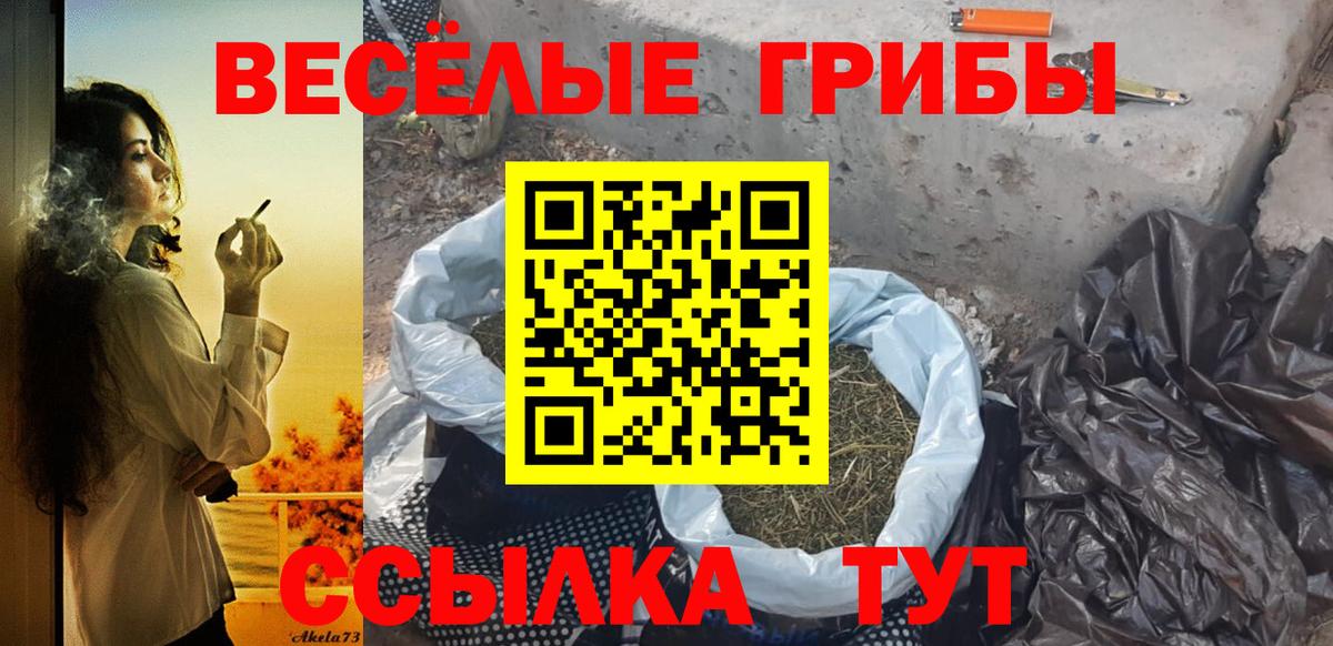 Галлюциногенные грибы Cubensis Златоуст