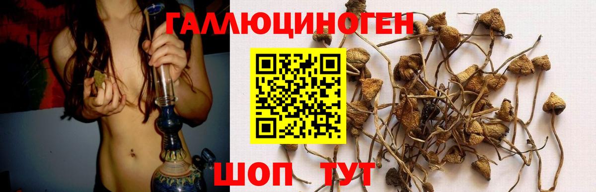 Галлюциногенные грибы Psilocybine cubensis  Вход с VPN  Златоуст 